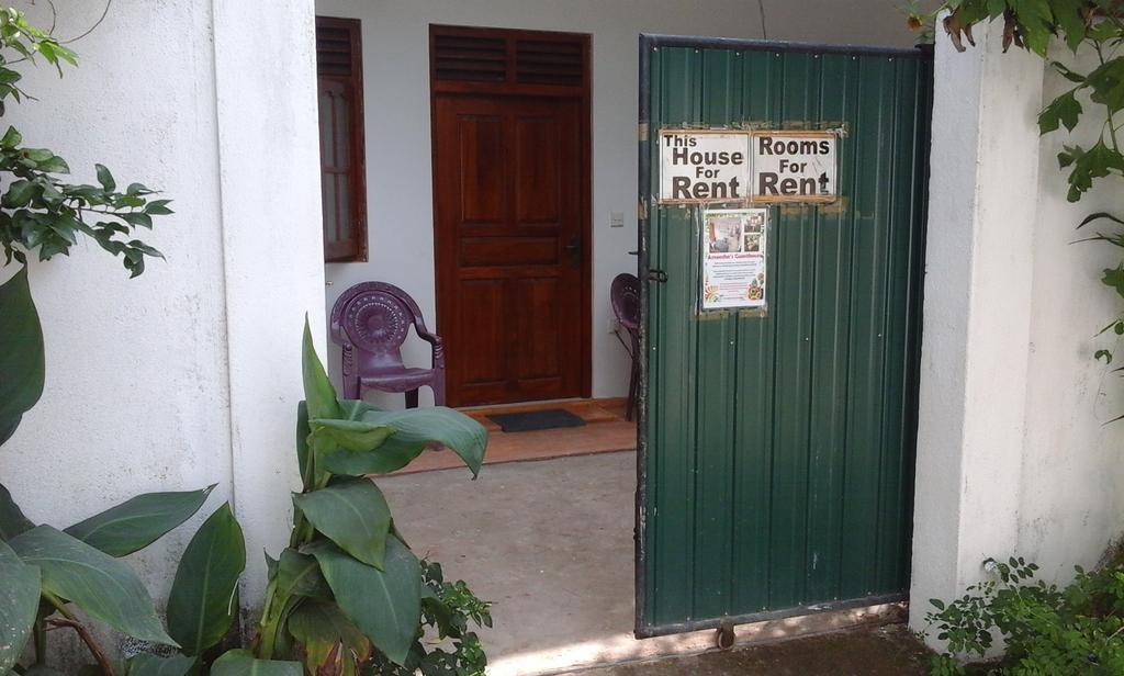 Ameesha Guesthouse أونا واتونا المظهر الخارجي الصورة