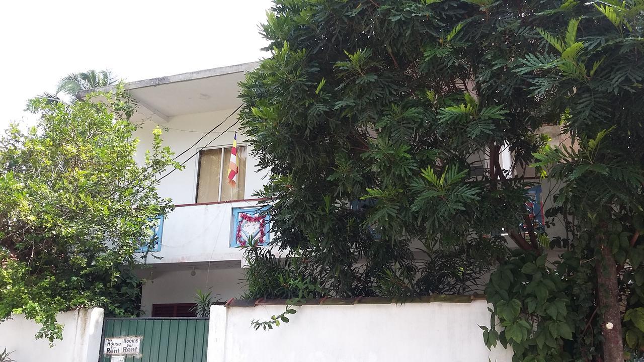 Ameesha Guesthouse أونا واتونا المظهر الخارجي الصورة